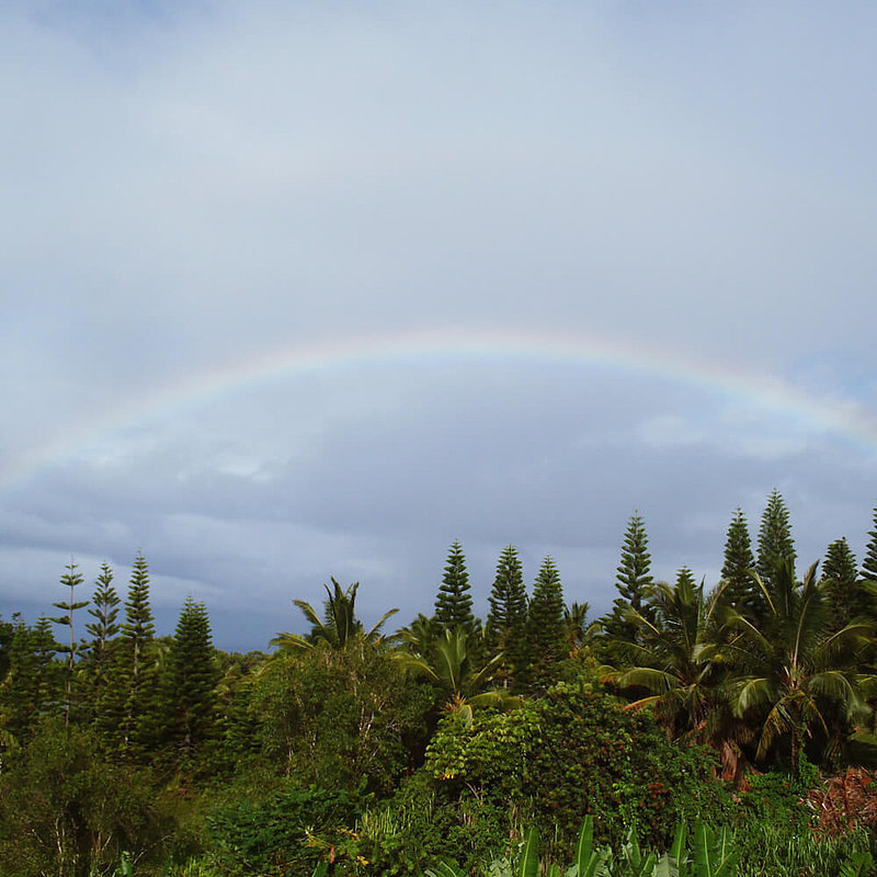 Begrüßung im neuen Heim