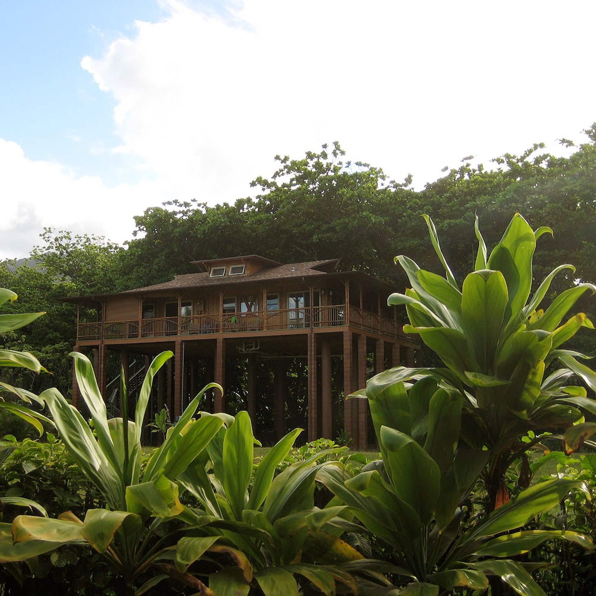 Kein Wunder, dass die Häuser hier so hoch gebaut sind