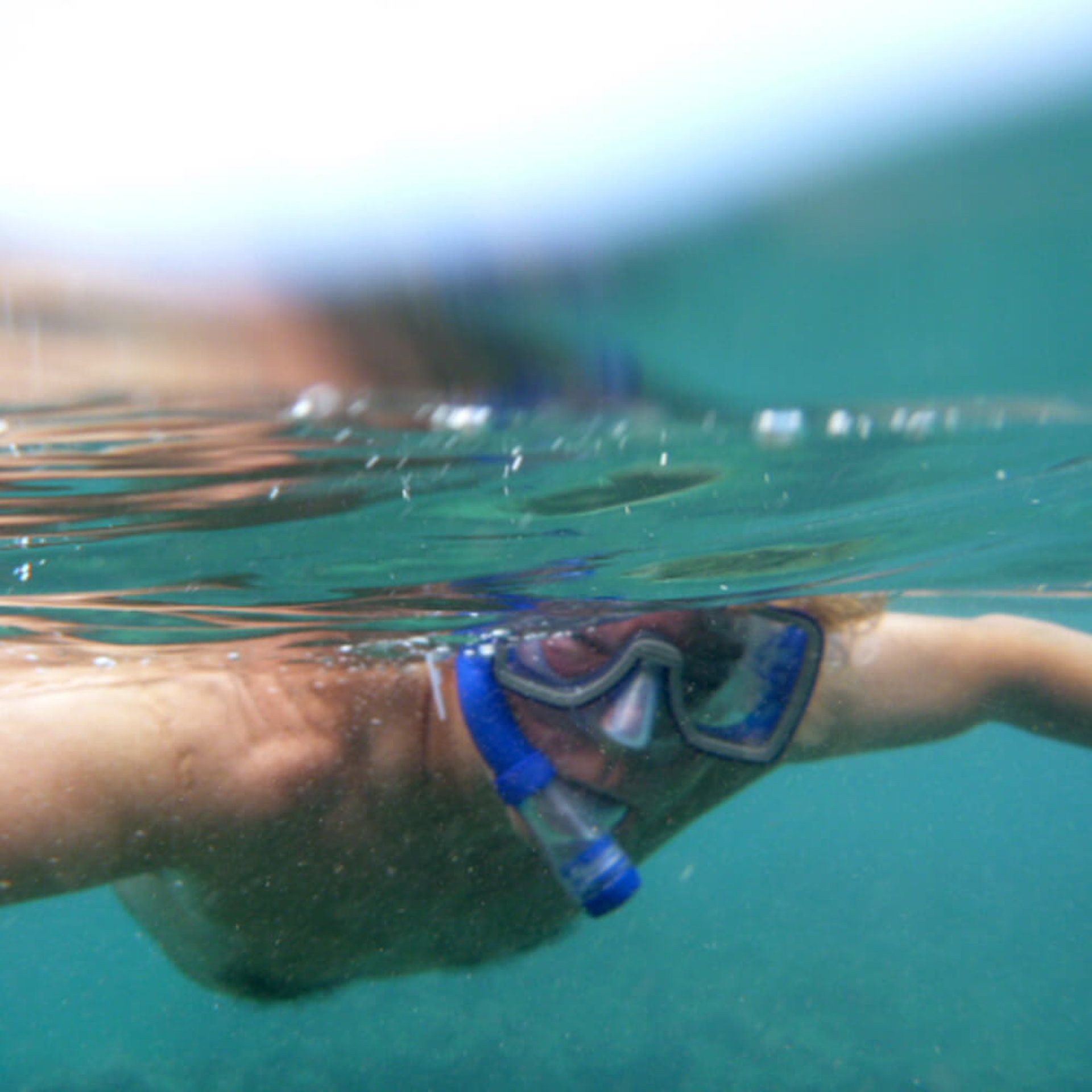 zwei besonders "dicke" Fische :-)